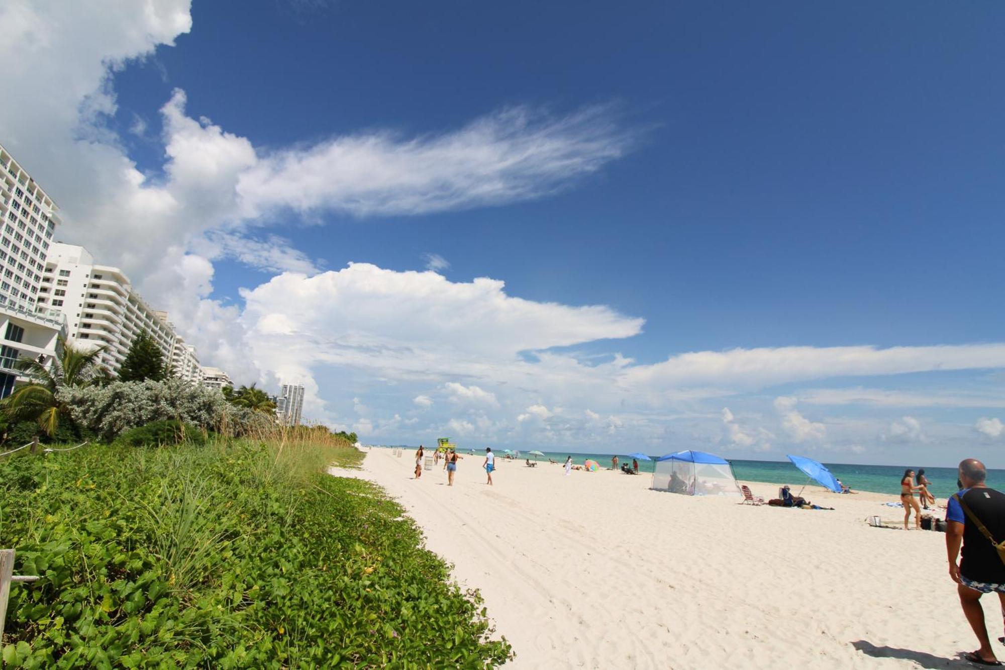 Castle 835 Oceanview Studio On Beach With Pool, Gym, Bars, And Free Parking Miami Beach Luaran gambar